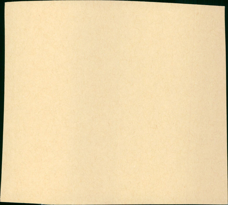 In the Good Old Summertime - Vintage Photograph