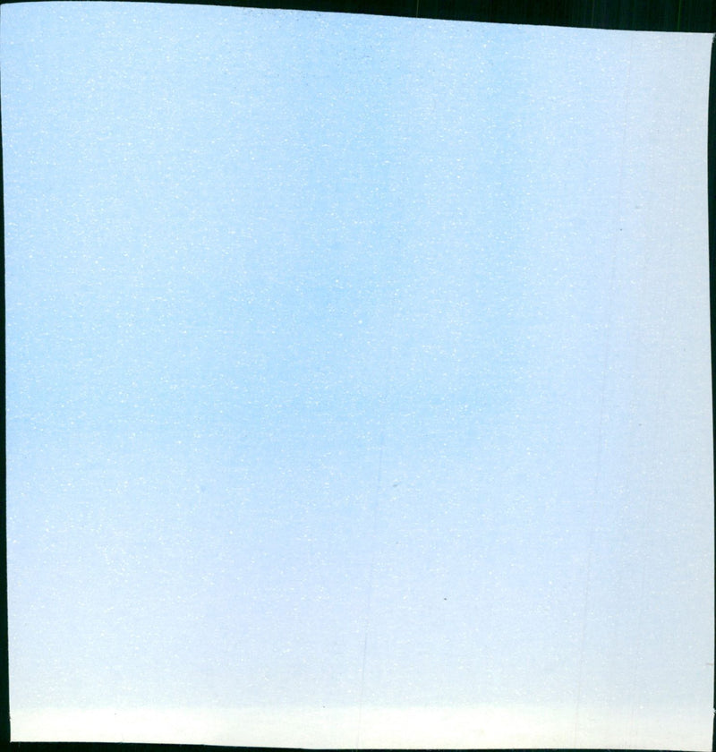 Flipper's New Adventure - Vintage Photograph