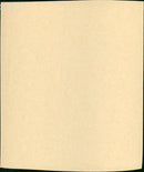 Flood - Vintage Photograph