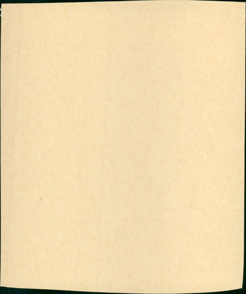 Flood - Vintage Photograph