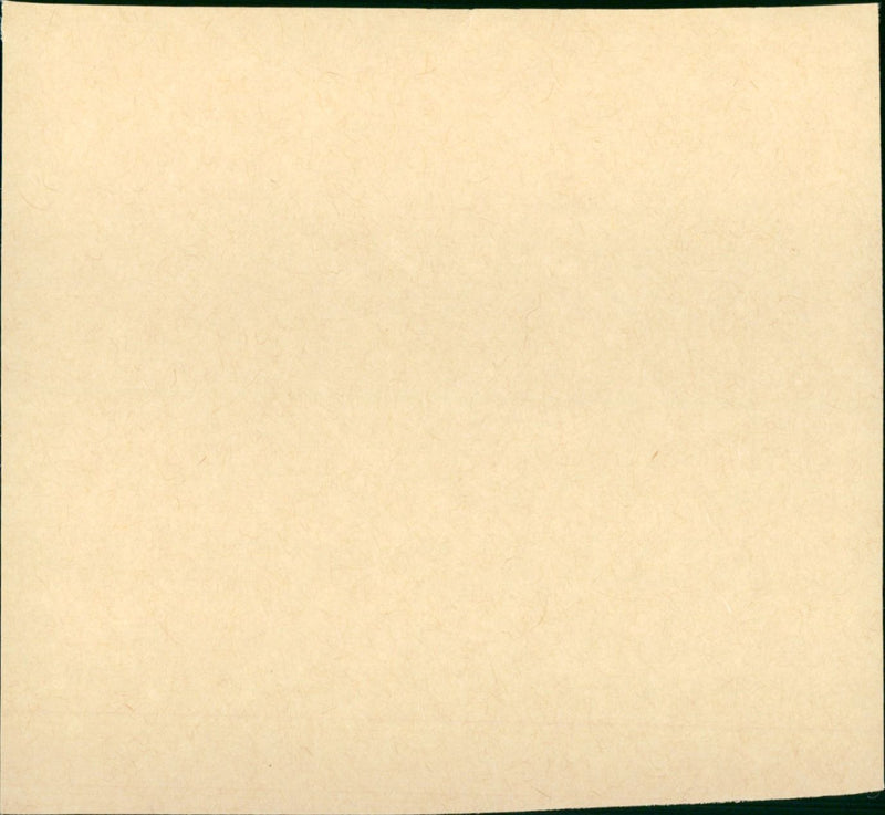 In the Line of Duty: the price of vengeance - Vintage Photograph