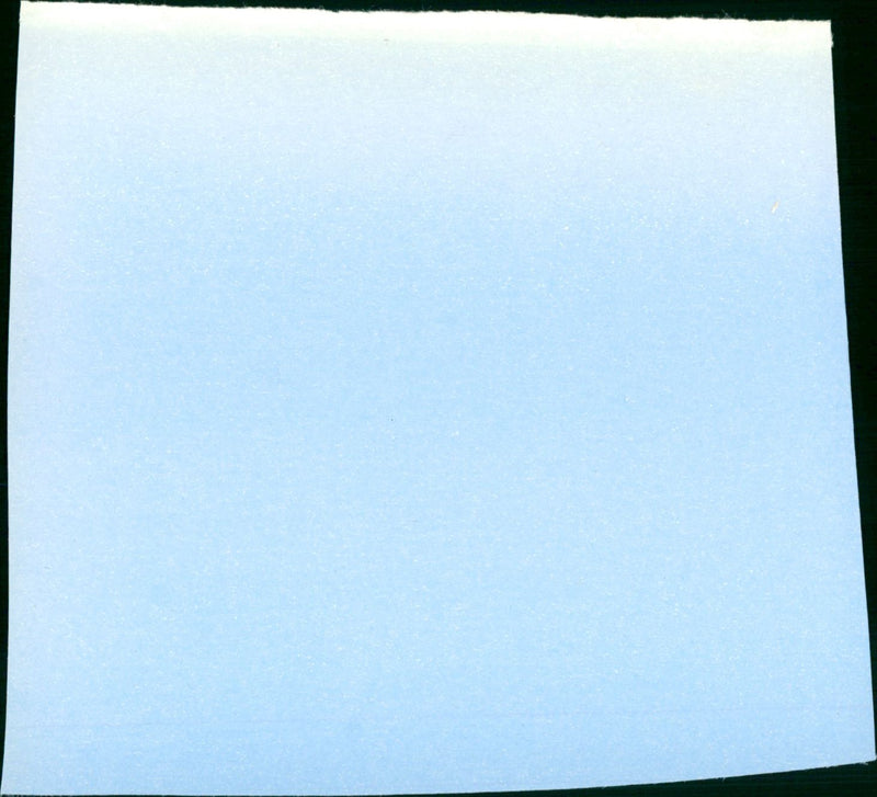 Farewell, My Lovely - Vintage Photograph