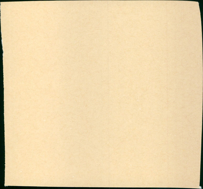 Fluchtweg St. Pauli - Grossalarm fur die Davidswache - Vintage Photograph