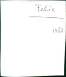 Felix - Vintage Photograph