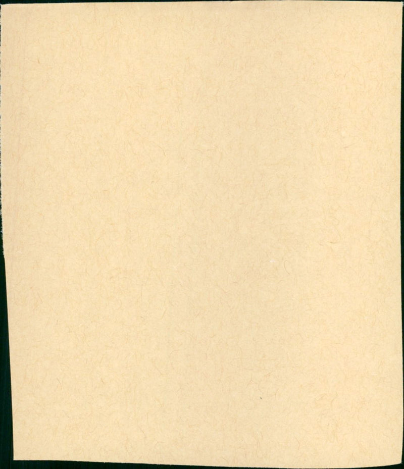 Felix - Vintage Photograph