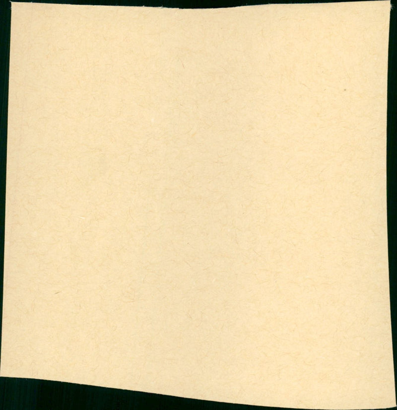 Female - Vintage Photograph