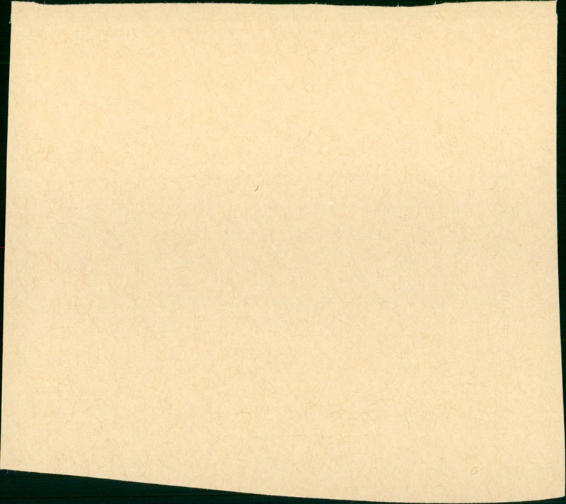 Fashions of 1934 - Vintage Photograph