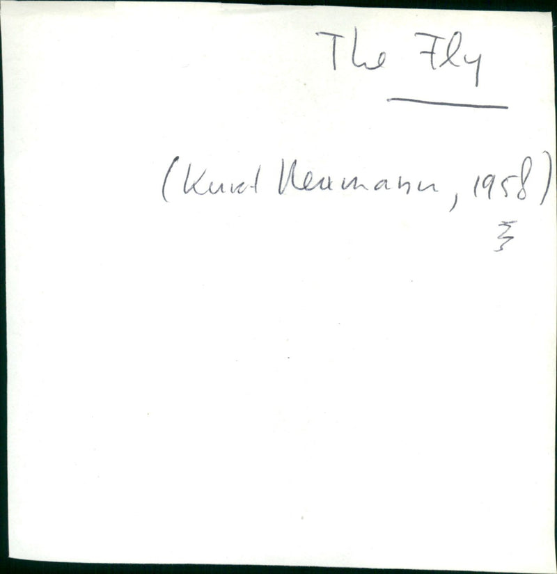 The Fly - Vintage Photograph