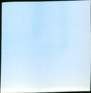 The Fly - Vintage Photograph