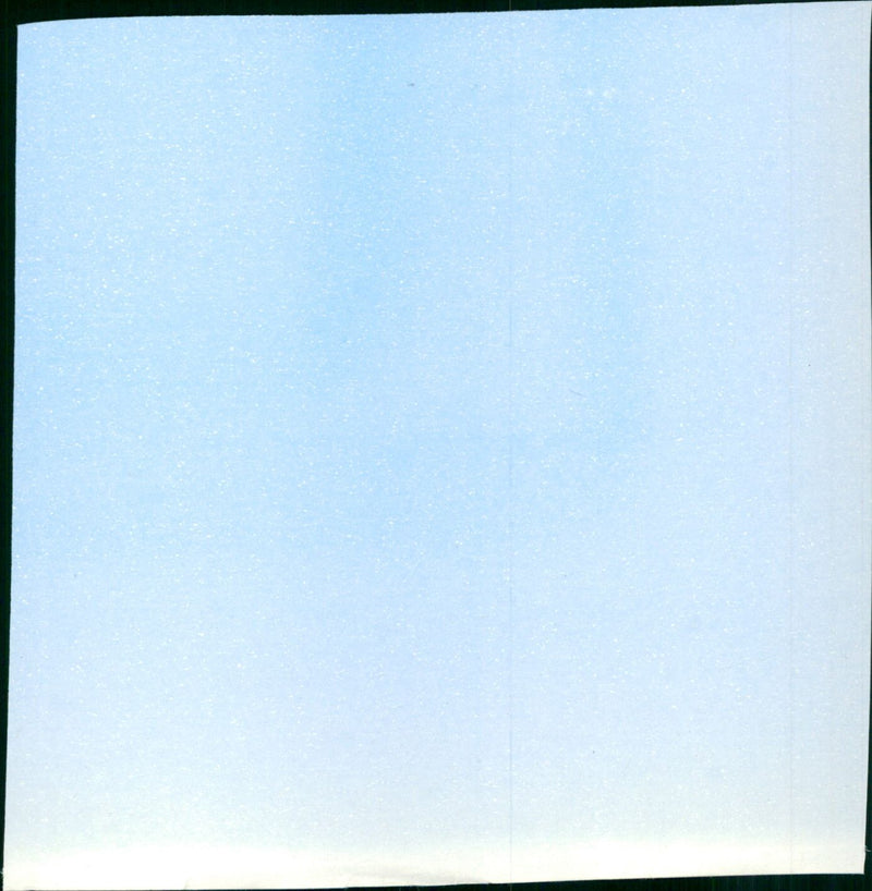 The Fly - Vintage Photograph