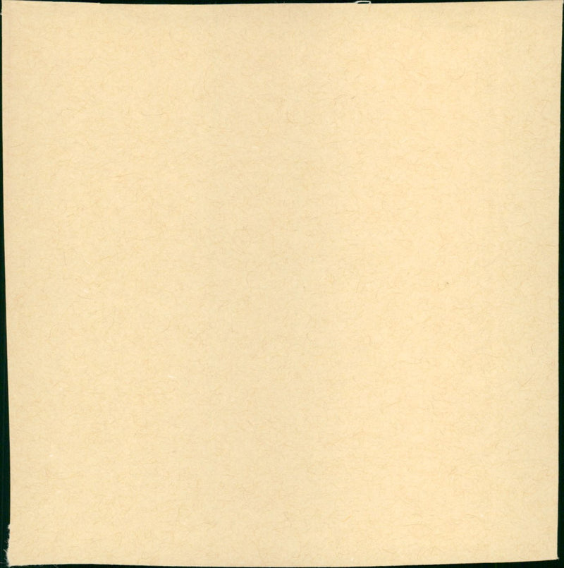 Fast Break - Vintage Photograph