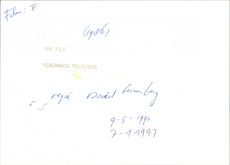 The Fly - Vintage Photograph