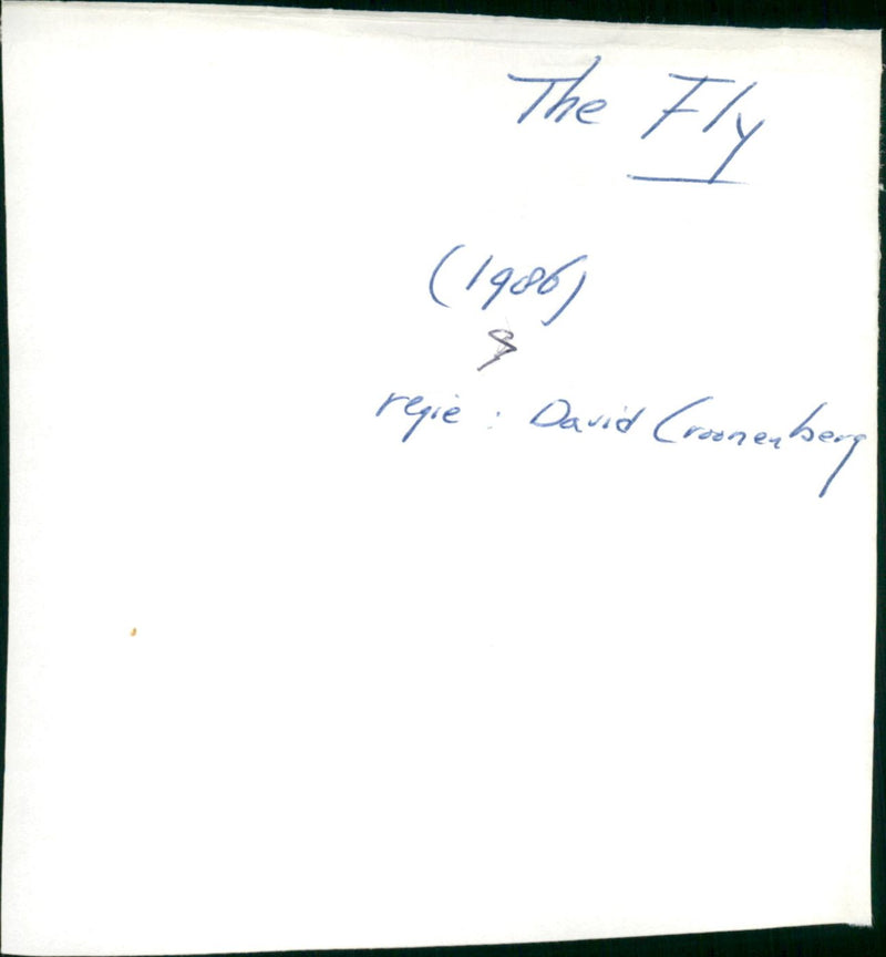 The Fly - Vintage Photograph