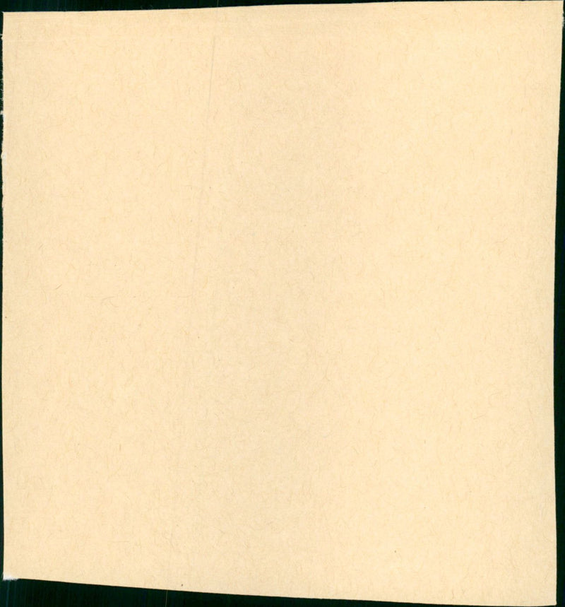 The Fly - Vintage Photograph