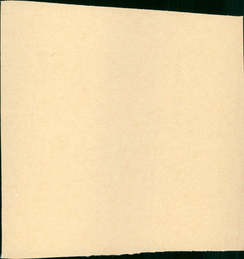 Jet Pilot - Vintage Photograph