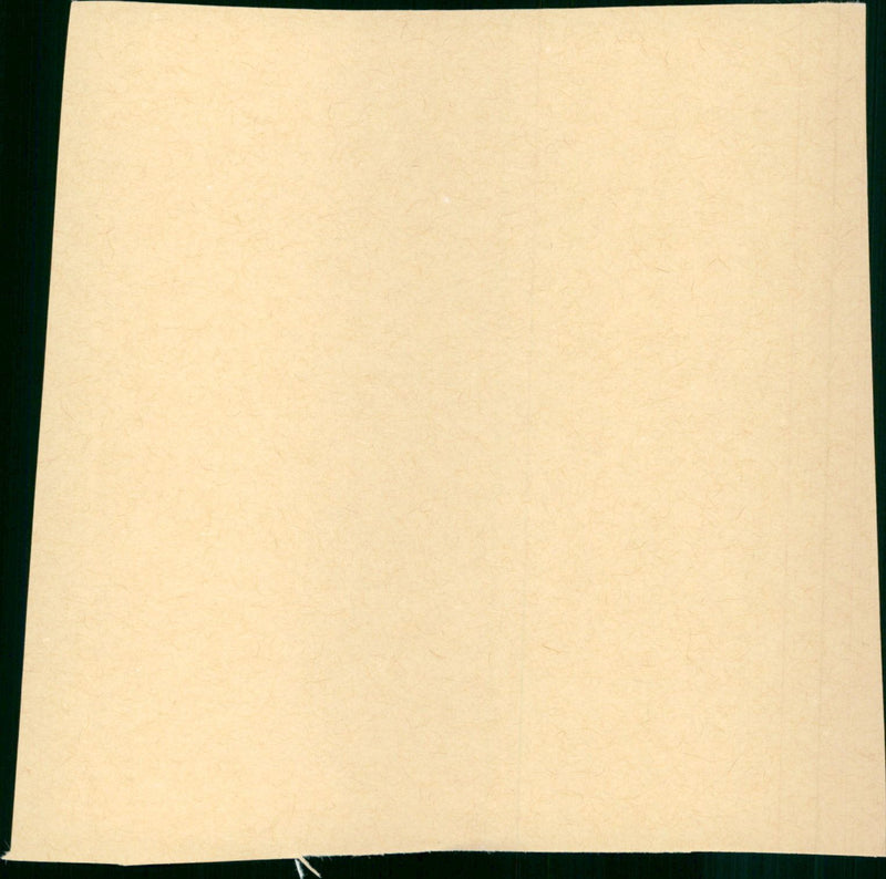 Der Junge Werther - Vintage Photograph