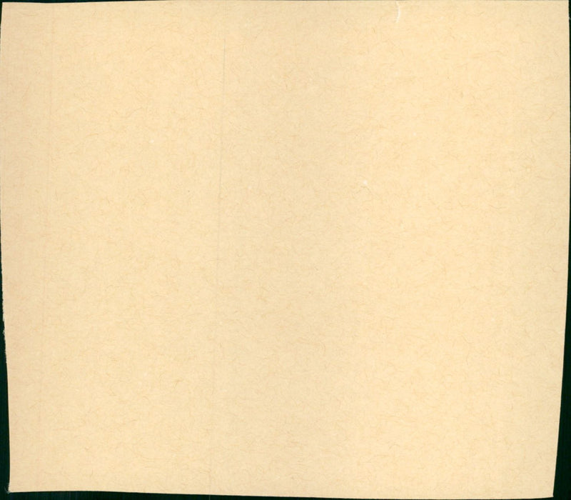 The Flying Deuces - Vintage Photograph