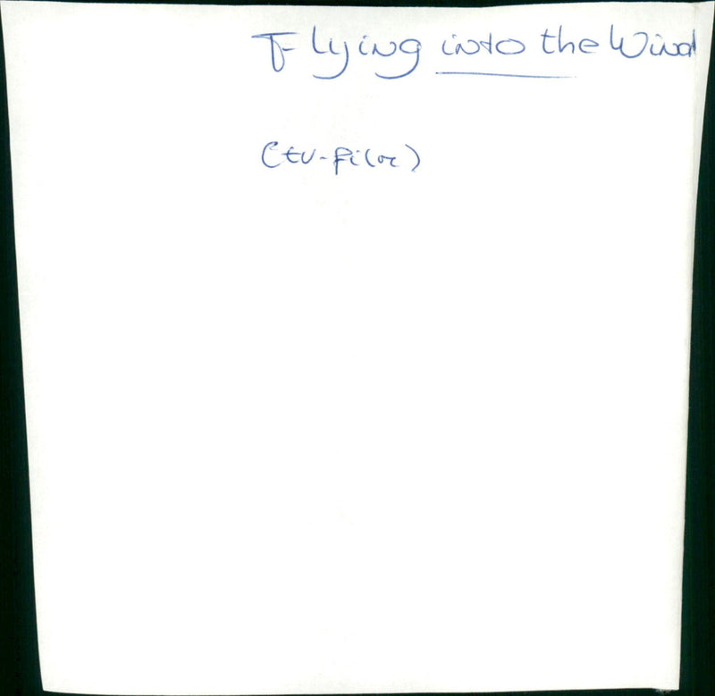 Flying Into the Wind - Vintage Photograph