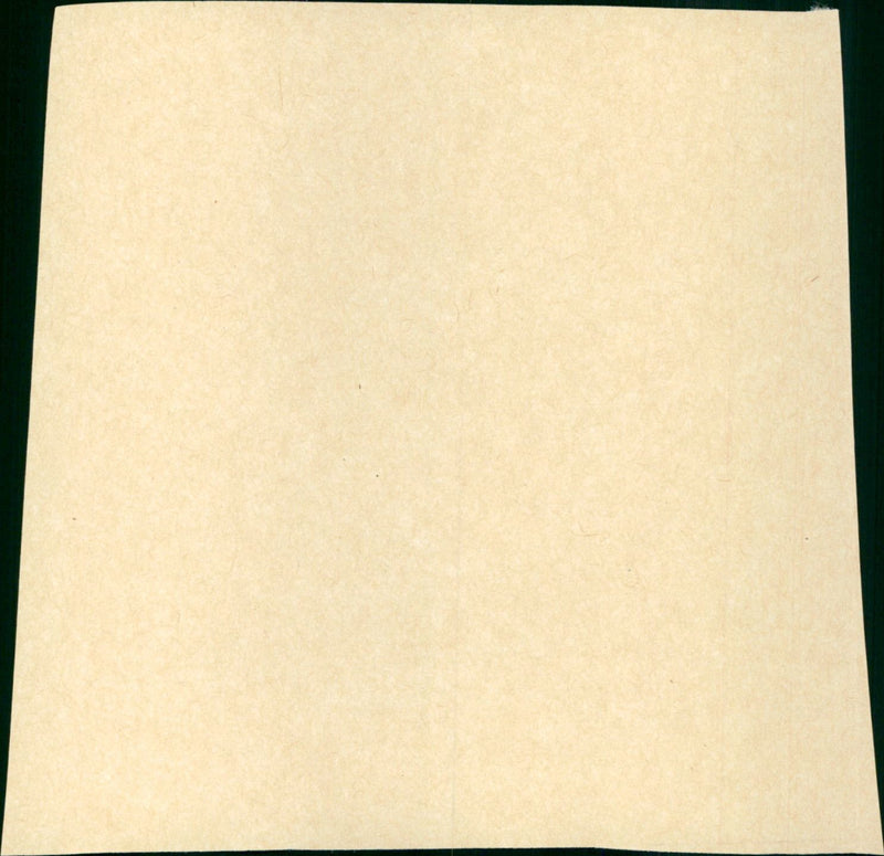 Flying Into the Wind - Vintage Photograph