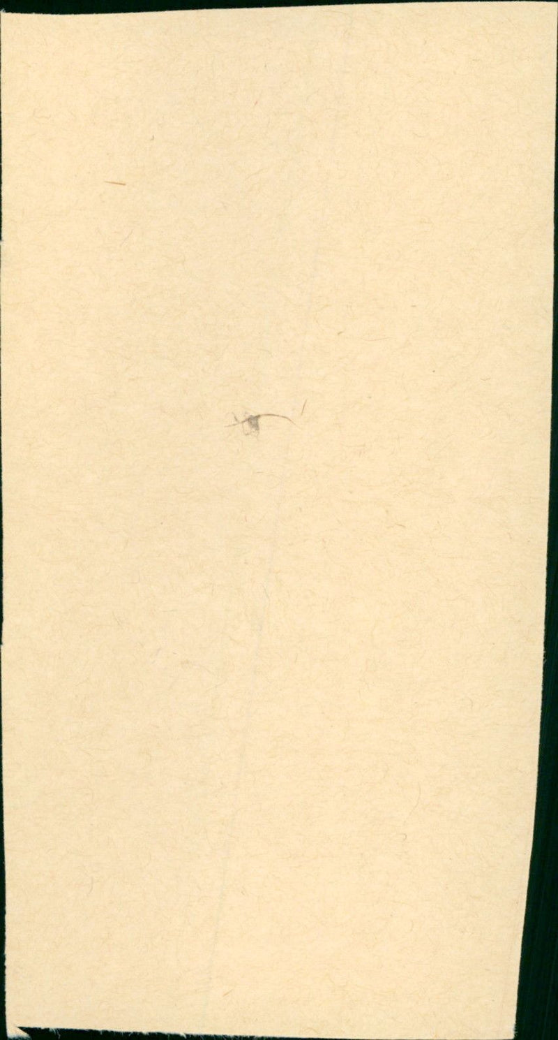 Attention, les enfants regardent - Vintage Photograph