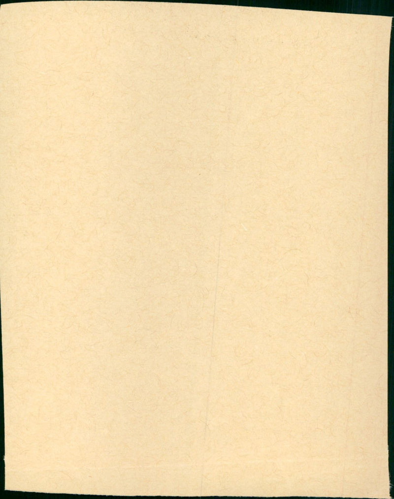 The Fog - Vintage Photograph