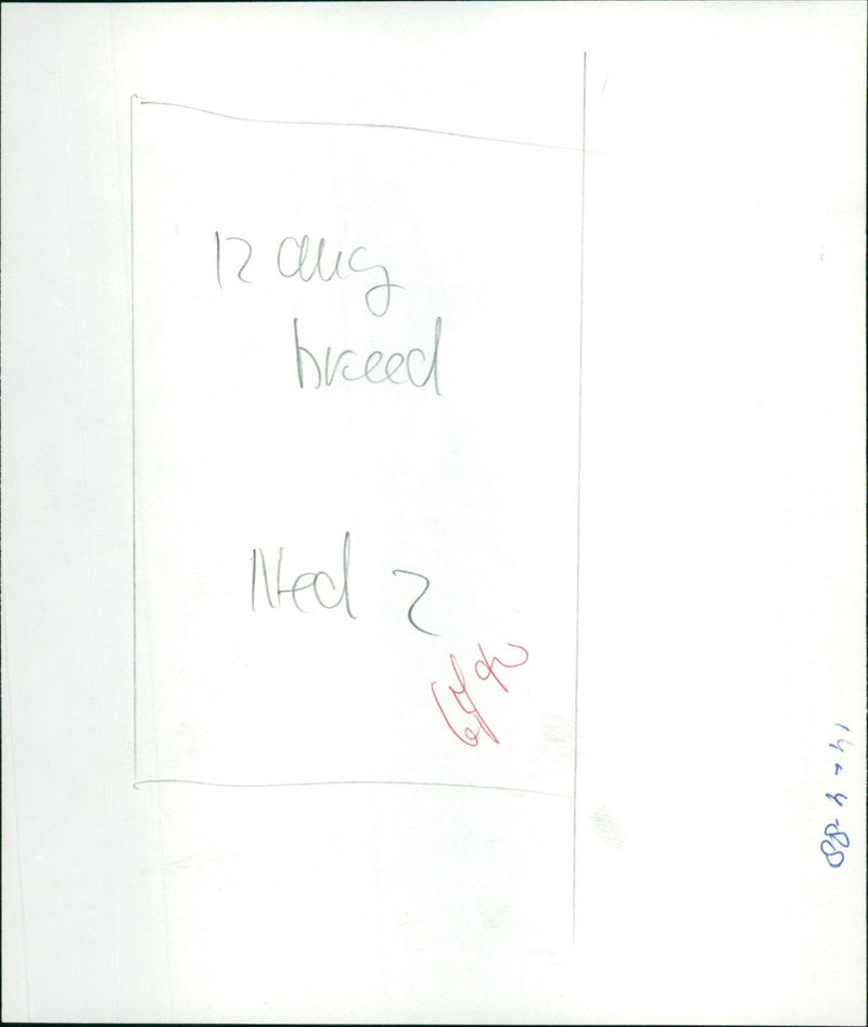 The Attic: The Hiding of Anne Frank - Vintage Photograph