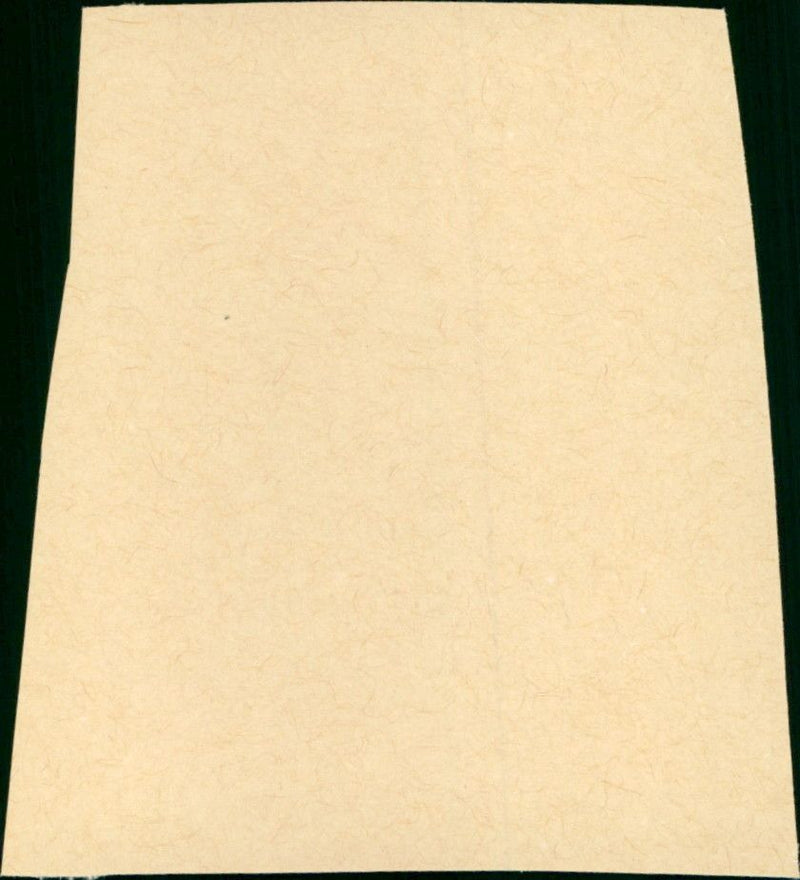 The Attic - Vintage Photograph