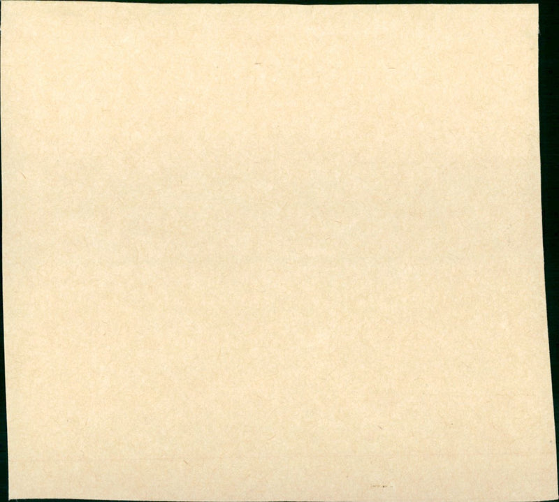 Into the Night - Vintage Photograph