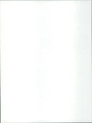 The Attic: The Hiding of Anne Frank - Vintage Photograph