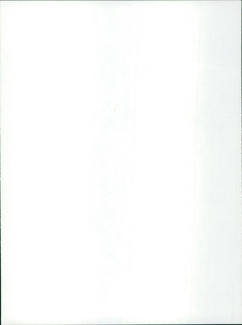 The Attic: The Hiding of Anne Frank - Vintage Photograph