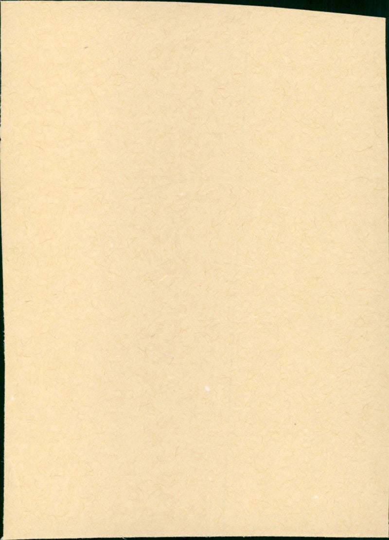 The Attic: The Hiding of Anne Frank - Vintage Photograph