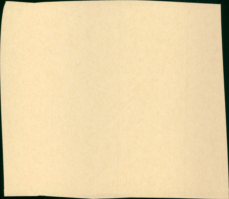 The Fighting Man of the Plains - Vintage Photograph