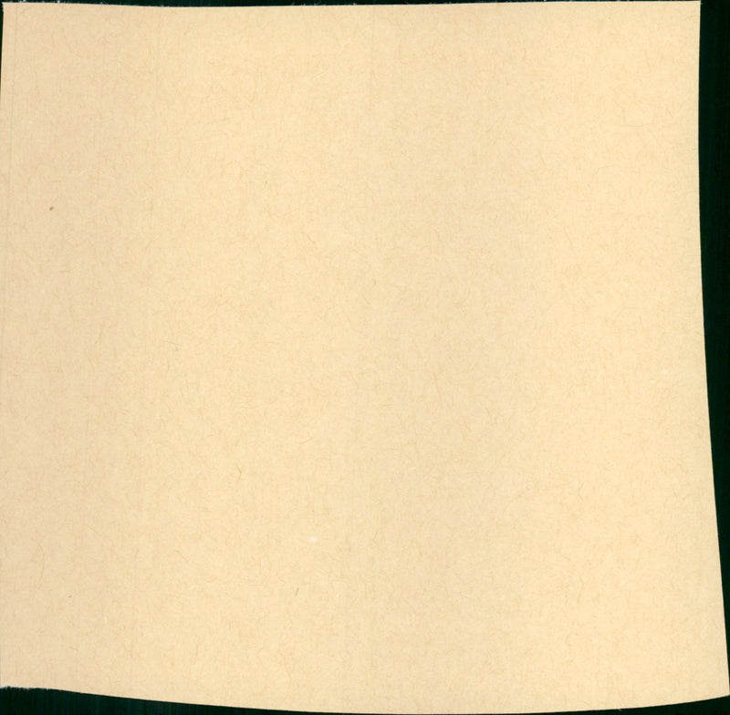 Figures in a Landscape - Vintage Photograph