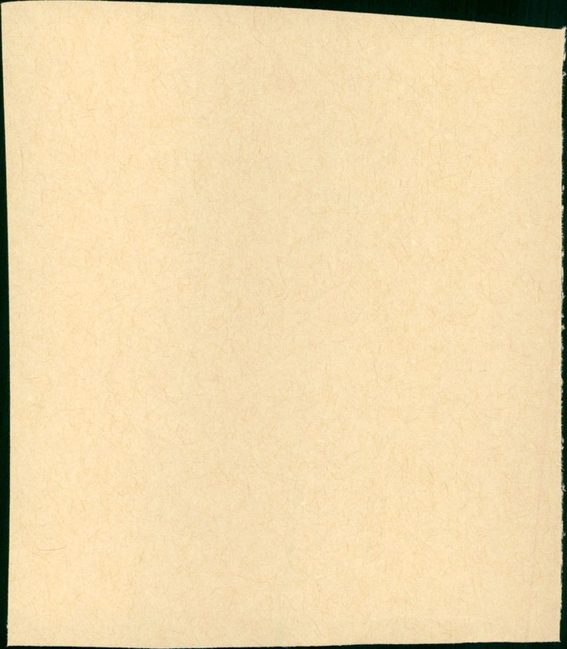 Invasion - Vintage Photograph