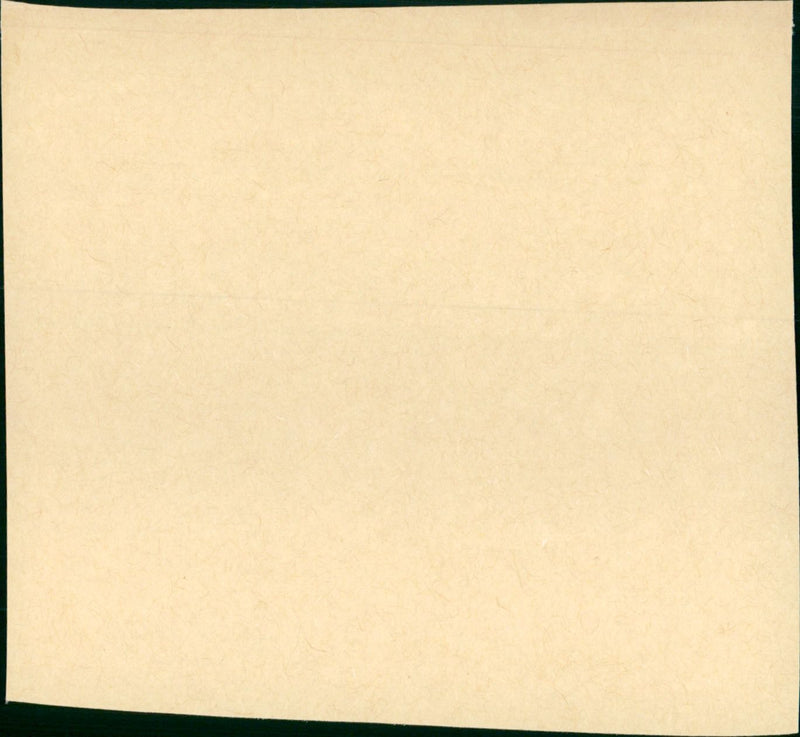 The File of the Golden Goose - Vintage Photograph