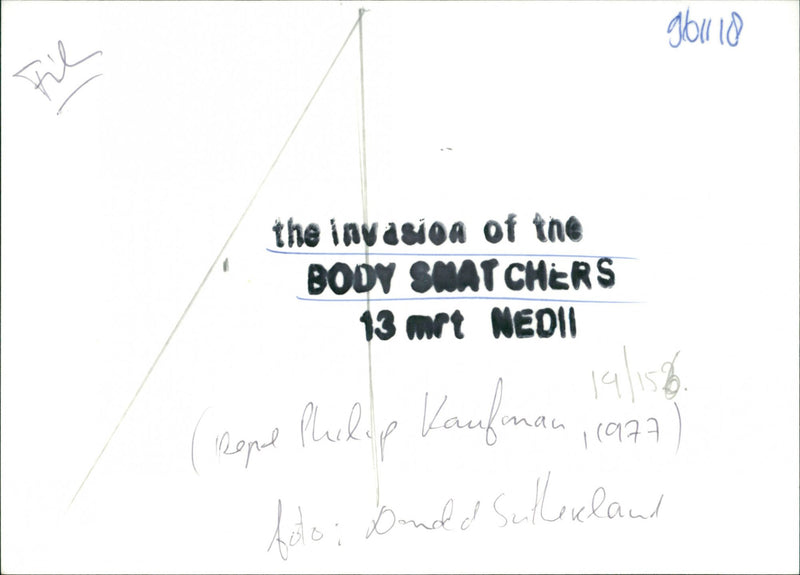 Donald Sutherland - Vintage Photograph