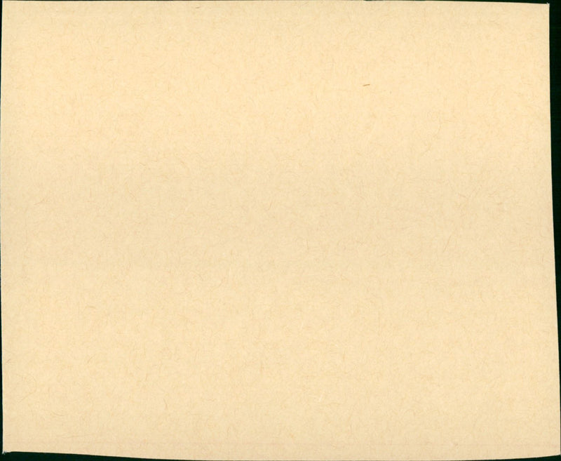 Invasion of the Body Snatchers - Vintage Photograph