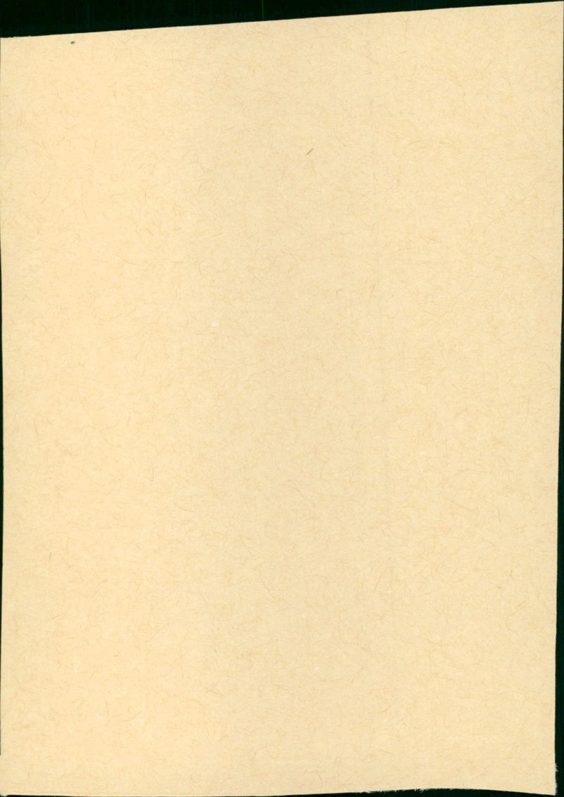 Aufstand der Dinge - Vintage Photograph