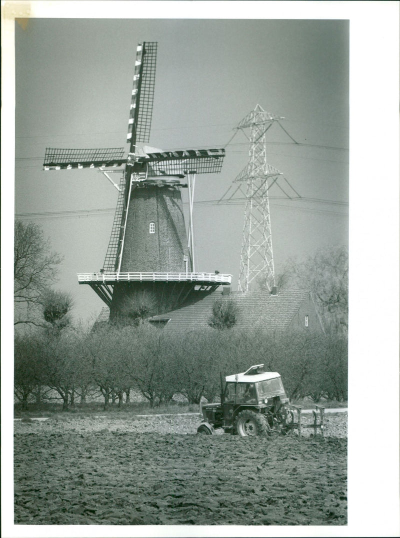 - Vintage Photograph