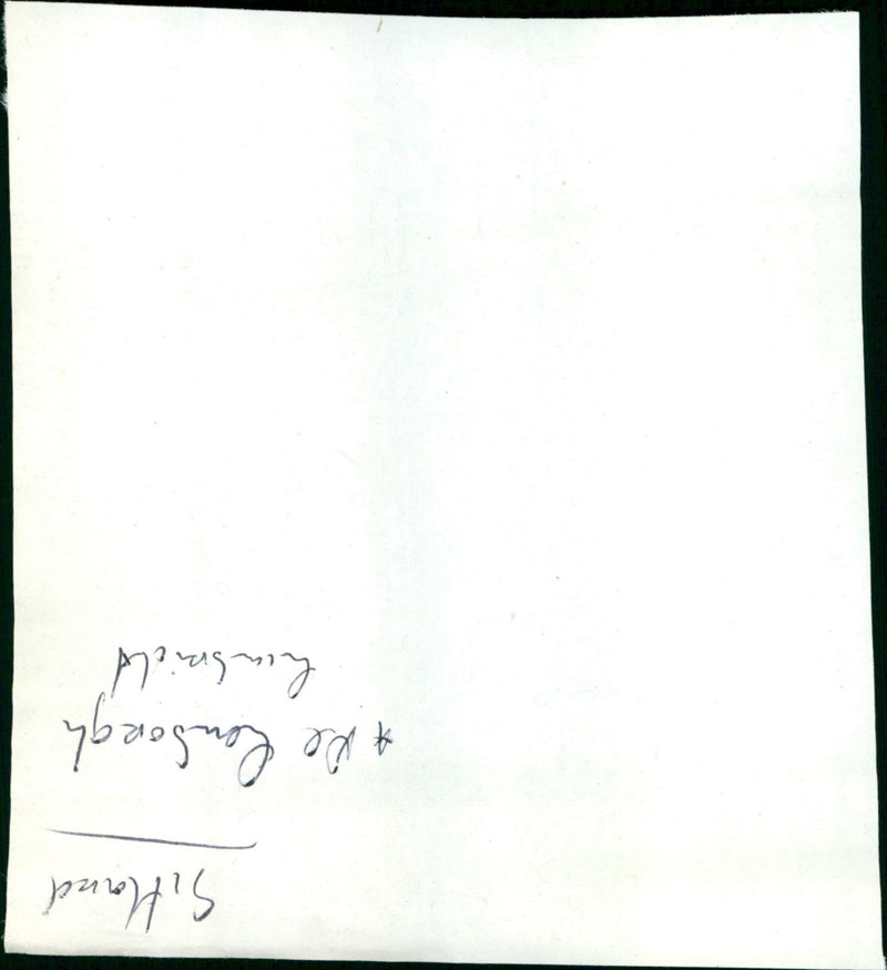 - Vintage Photograph