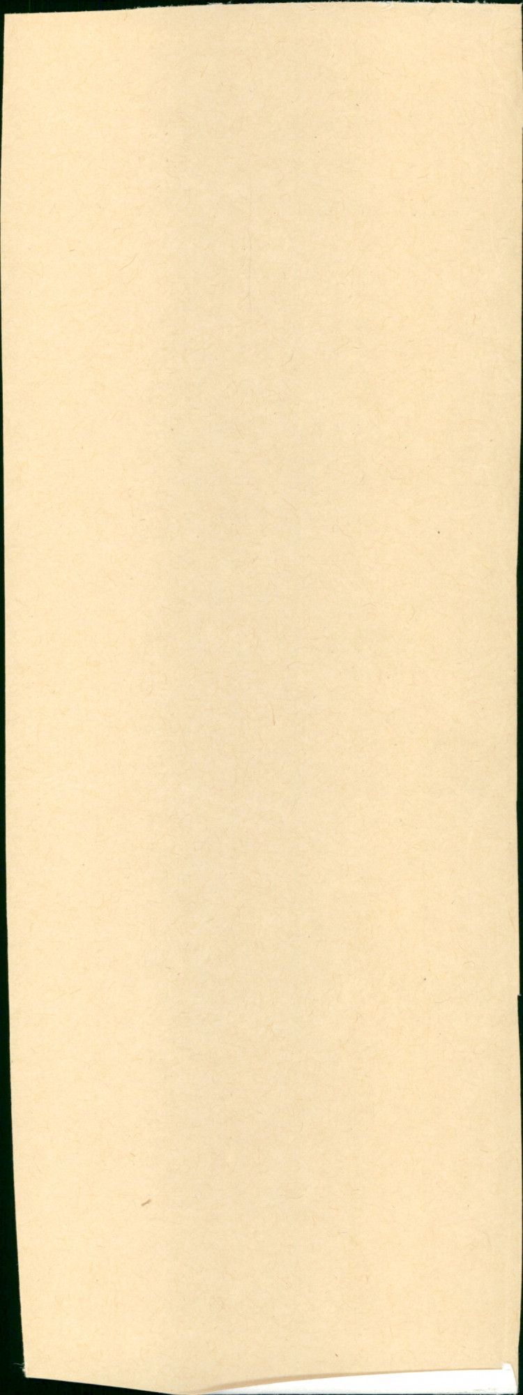 - Vintage Photograph