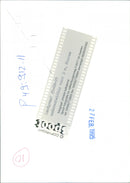 - Vintage Photograph