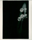 - Vintage Photograph