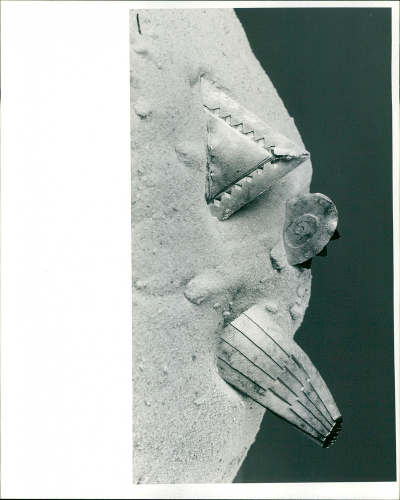 - Vintage Photograph