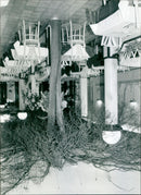 - Vintage Photograph