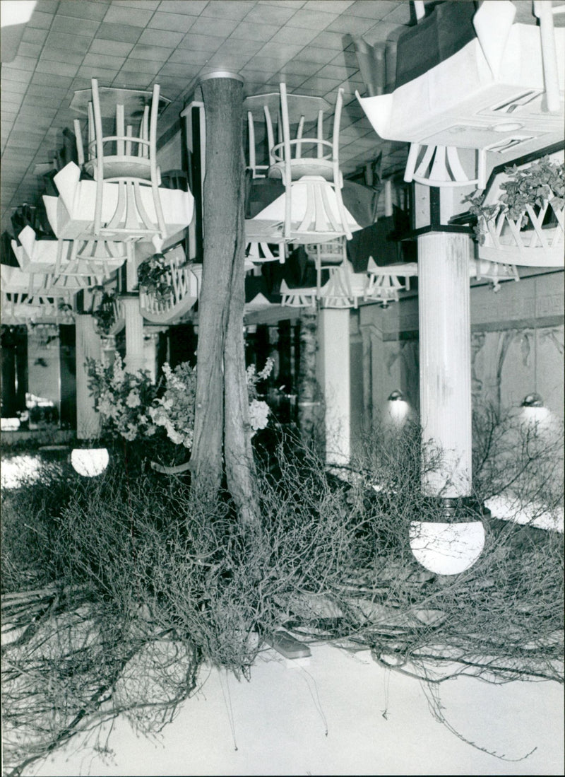 - Vintage Photograph