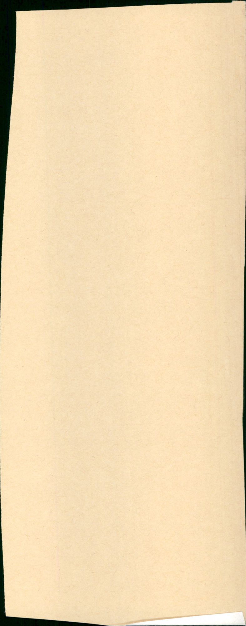 - Vintage Photograph