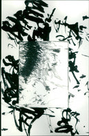 - Vintage Photograph