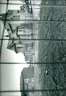 - Vintage Photograph