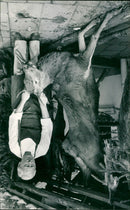 - Vintage Photograph